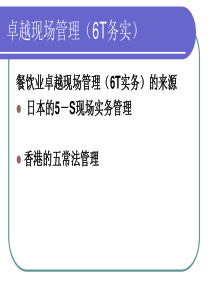 6T务实