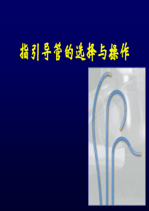 91指引导管的选择