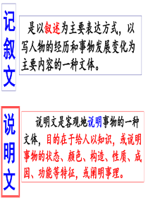人教部编版八年级语文上册第五单元第17课  《中国石拱桥》 课件 (共83张PPT)