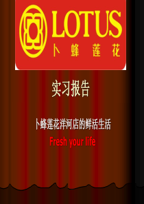 实习日志