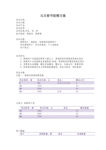 2016年元旦春节促销方案模板