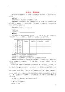 (5月黄金档)2013高考化学冲刺秘籍难点23燃料电池