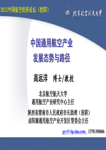 13高远洋-中国通用航空产业发展态势与路径