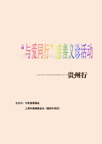 (贵州乃扒)与爱同行计划书