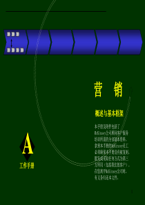 005麦肯锡营销咨询手册