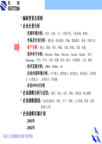 东方通信战略规划报告（客户分析）