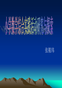 张晓玮：小学数学综合实践活动