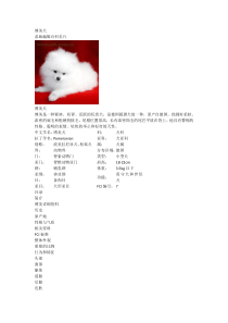 博美