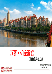 钧城地产2010年11月12日开封万丽・铂金瀚宫开盘前执行方案.ppt
