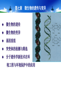 第七章微生物的遗传与变异