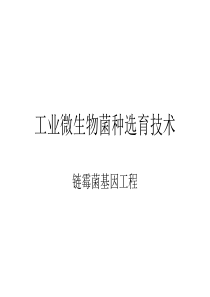 小木虫emuchnet4