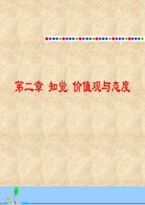 第二章++知觉价值观与态度