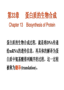 蛋白质的生物合成过程