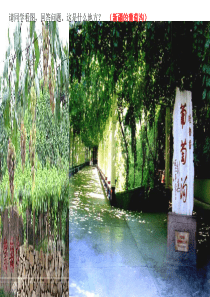 10、《葡萄沟》ppt课件【10页】