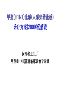 dd甲型(H1N1)流感(人感染猪流感)
