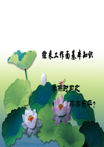 综采工作面基本知识