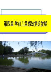 第四章 学前儿童感觉和知觉的发展