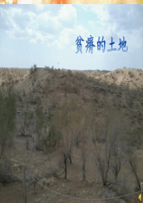 新疆旅游,美食风景PPT