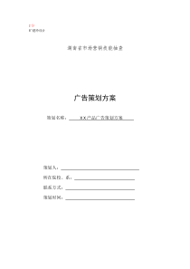 3  广告策划方案模板