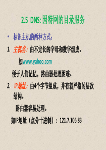 计算机网络DNS课件资料