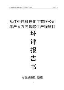 6万吨硫酸生产线（硫铁矿）报告书