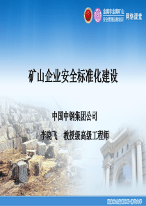 731-李晓飞-矿山企业安全标准化建设
