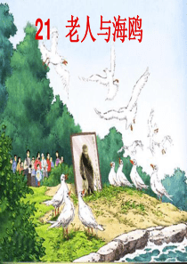 86《老人与海鸥》优秀课件