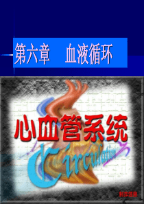 第六章循环