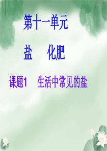人教版九年级化学第十一单元课题一生活中常见的盐