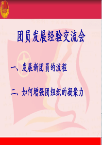 发展新团员流程和加强团的凝聚力
