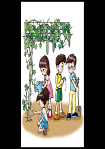 2 茎里的“运输网”