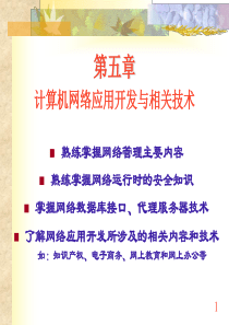 第五章 计算机网络应用开发与相关技术