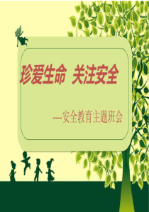 安全教育主题班会ppt