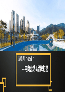 农产品电子商务品营销(最新)（PPT68页)