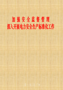 电力安全生产标准化