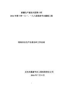 水利安全生产自查自纠工作总结