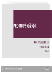 peotn网管理论培训
