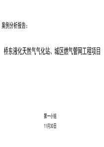 案例分析WBS--王维铭