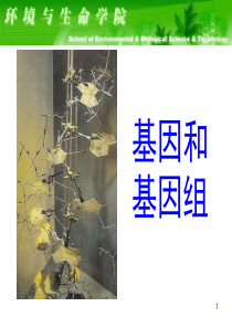 大连理工大学生物化学课件--基因与染色体7