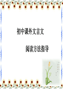 课外文言文阅读方法指导