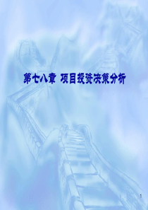 第七八章投资决策