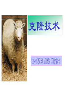 10克隆技术