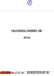 XX治理结构试点方案咨询报告