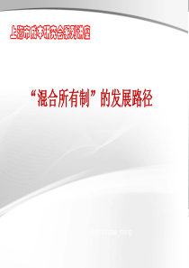 混合所有制的发展路径-共27页
