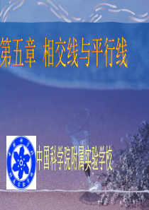 相交线与平行线复习ppt