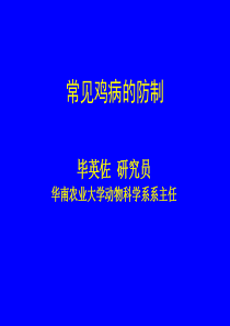9常见鸡病防治