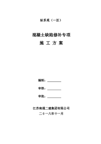 混凝土缺陷修补专项施工方案