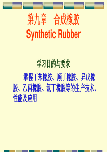 高聚物生产技术合成橡胶