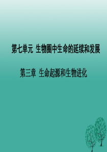 7.3生命起源和生物进化复习课件