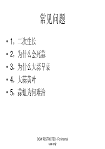 大蒜病虫害防治技术